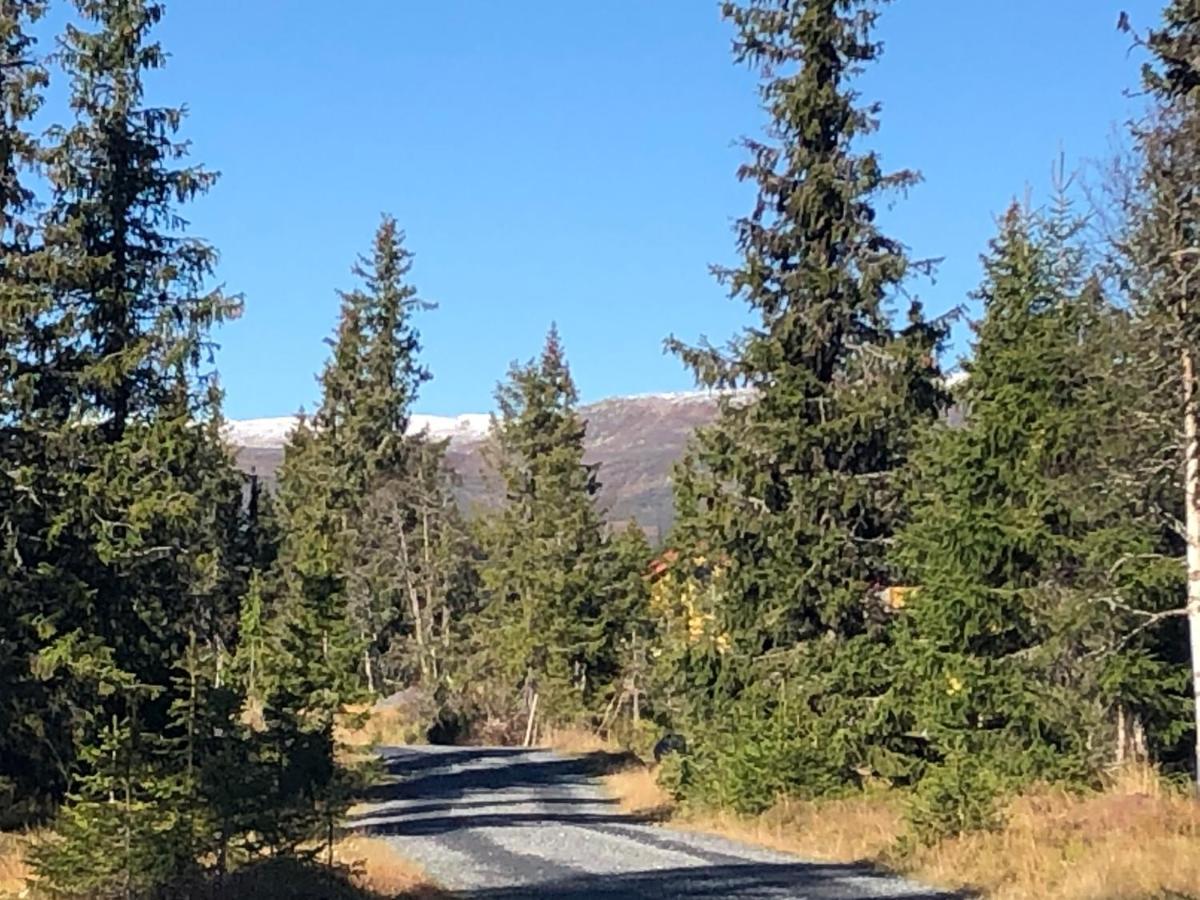 Sykkelhytte Ved Slatten I Synnfjellet Nord Torpa Exterior photo